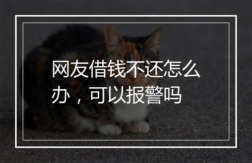 网友借钱不还怎么办，可以报警吗