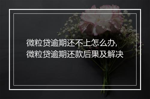 微粒贷逾期还不上怎么办,微粒贷逾期还款后果及解决