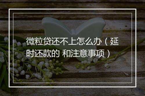 微粒贷还不上怎么办（延时还款的 和注意事项）