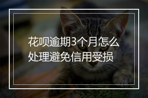花呗逾期3个月怎么处理避免信用受损