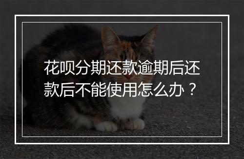 花呗分期还款逾期后还款后不能使用怎么办？