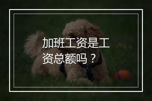 加班工资是工资总额吗？