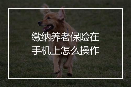 缴纳养老保险在手机上怎么操作