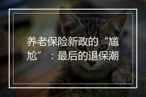 养老保险新政的“尴尬”：最后的退保潮