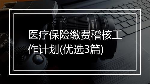医疗保险缴费稽核工作计划(优选3篇)