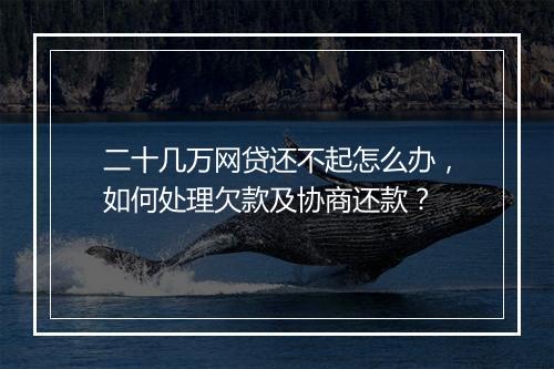 二十几万网贷还不起怎么办，如何处理欠款及协商还款？