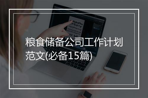 粮食储备公司工作计划范文(必备15篇)