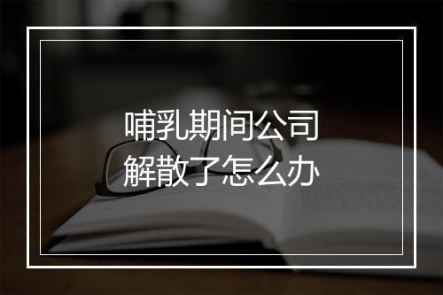 哺乳期间公司解散了怎么办
