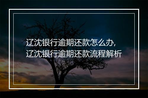 辽沈银行逾期还款怎么办,辽沈银行逾期还款流程解析