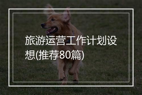 旅游运营工作计划设想(推荐80篇)