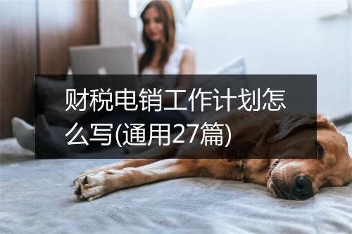 财税电销工作计划怎么写(通用27篇)