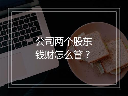 公司两个股东钱财怎么管？