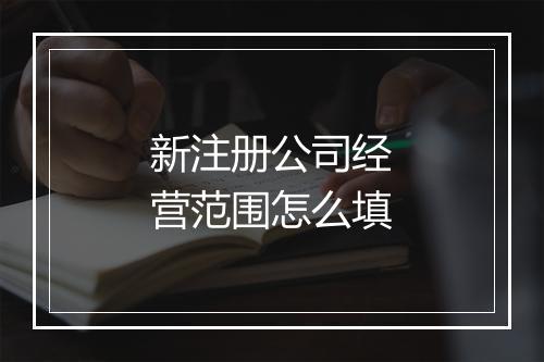 新注册公司经营范围怎么填