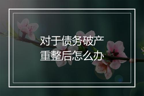 对于债务破产重整后怎么办