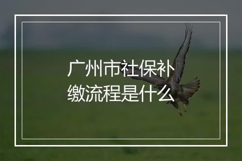广州市社保补缴流程是什么