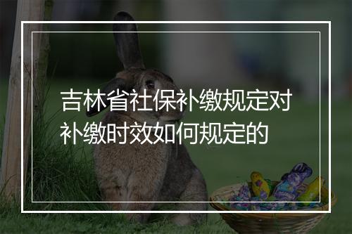 吉林省社保补缴规定对补缴时效如何规定的