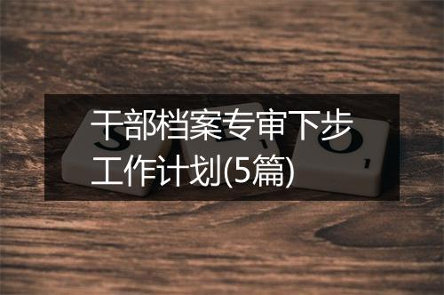 干部档案专审下步工作计划(5篇)