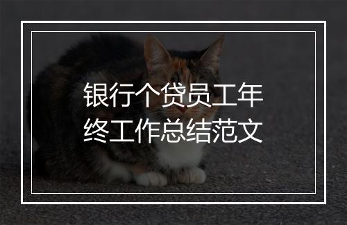 银行个贷员工年终工作总结范文