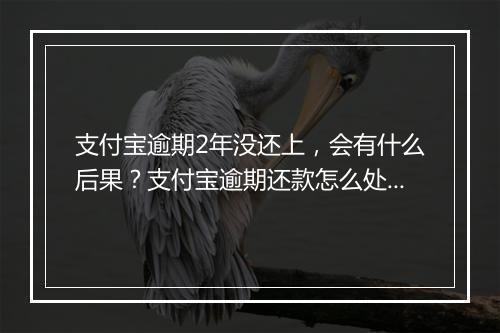支付宝逾期2年没还上，会有什么后果？支付宝逾期还款怎么处理？