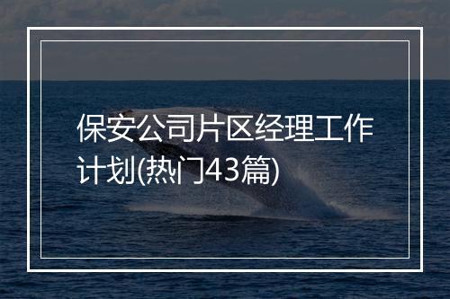 保安公司片区经理工作计划(热门43篇)