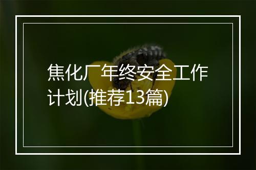 焦化厂年终安全工作计划(推荐13篇)