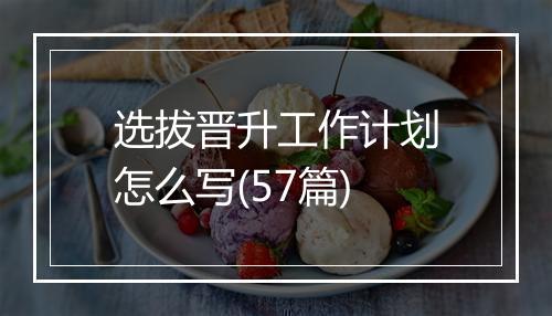 选拔晋升工作计划怎么写(57篇)