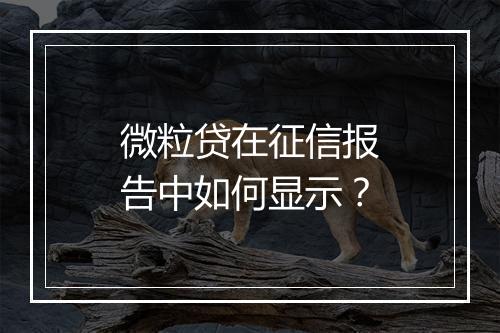 微粒贷在征信报告中如何显示？