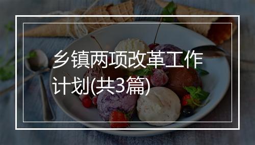 乡镇两项改革工作计划(共3篇)
