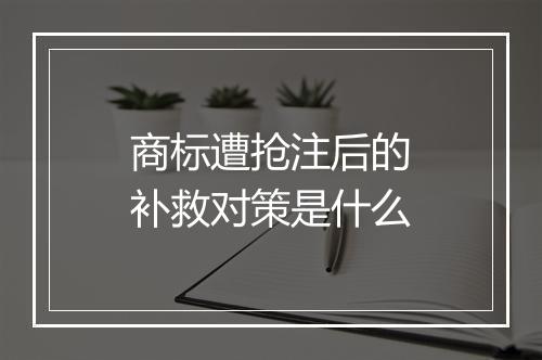 商标遭抢注后的补救对策是什么