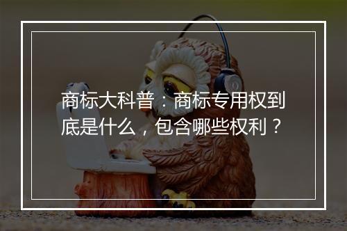 商标大科普：商标专用权到底是什么，包含哪些权利？