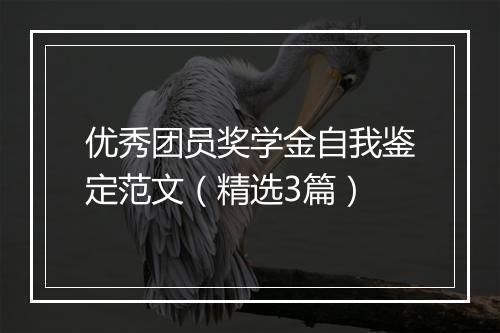 优秀团员奖学金自我鉴定范文（精选3篇）