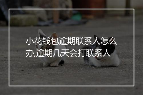 小花钱包逾期联系人怎么办,逾期几天会打联系人