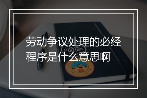 劳动争议处理的必经程序是什么意思啊