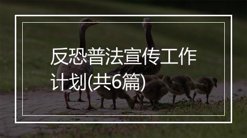 反恐普法宣传工作计划(共6篇)