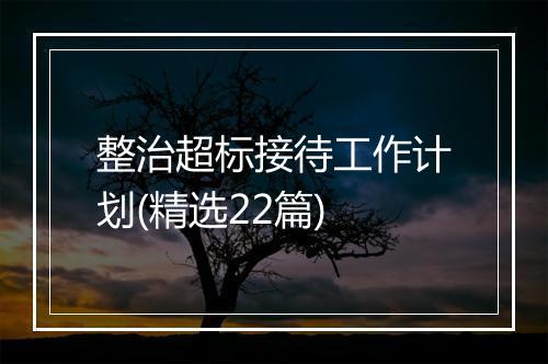 整治超标接待工作计划(精选22篇)