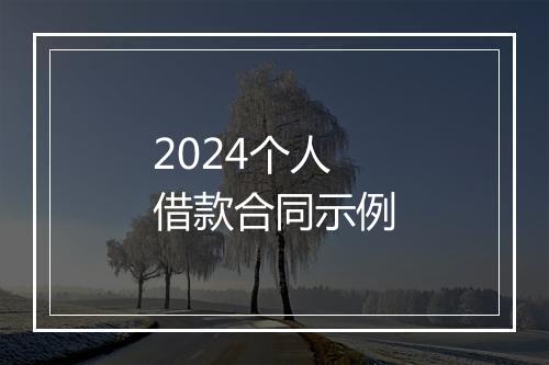 2024个人借款合同示例