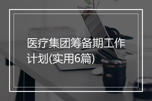 医疗集团筹备期工作计划(实用6篇)