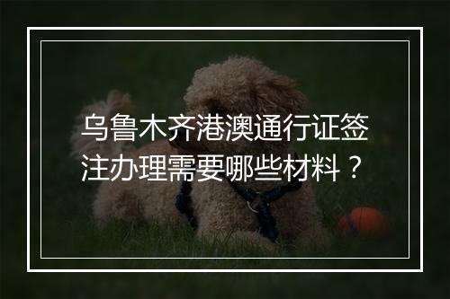 乌鲁木齐港澳通行证签注办理需要哪些材料？