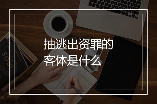抽逃出资罪的客体是什么