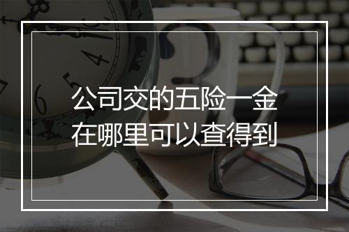 公司交的五险一金在哪里可以查得到
