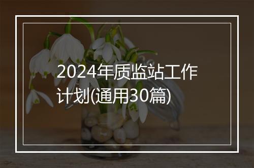 2024年质监站工作计划(通用30篇)