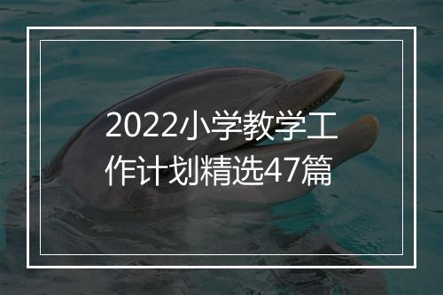 2022小学教学工作计划精选47篇