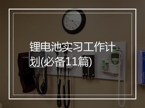锂电池实习工作计划(必备11篇)