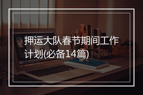 押运大队春节期间工作计划(必备14篇)