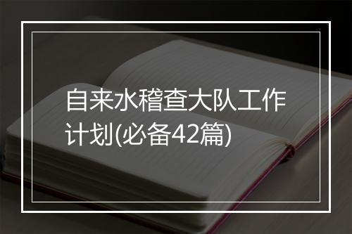 自来水稽查大队工作计划(必备42篇)