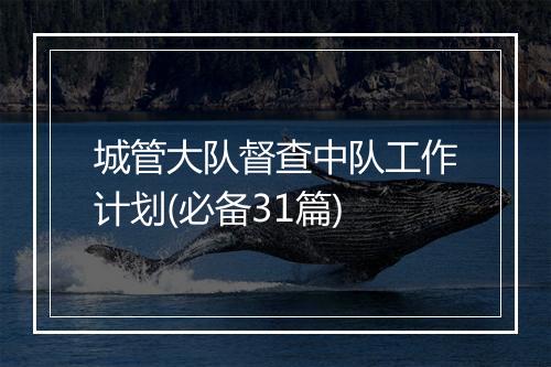 城管大队督查中队工作计划(必备31篇)