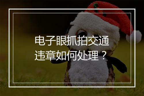 电子眼抓拍交通违章如何处理？
