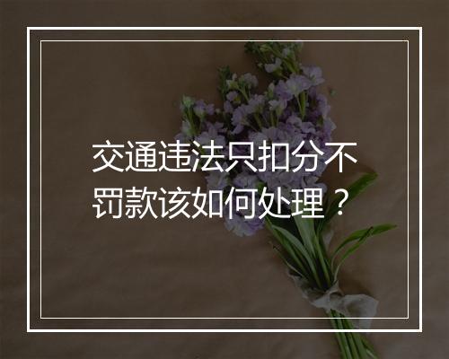 交通违法只扣分不罚款该如何处理？