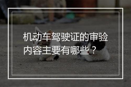 机动车驾驶证的审验内容主要有哪些？