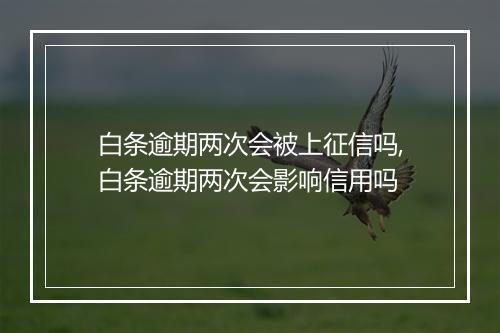 白条逾期两次会被上征信吗,白条逾期两次会影响信用吗